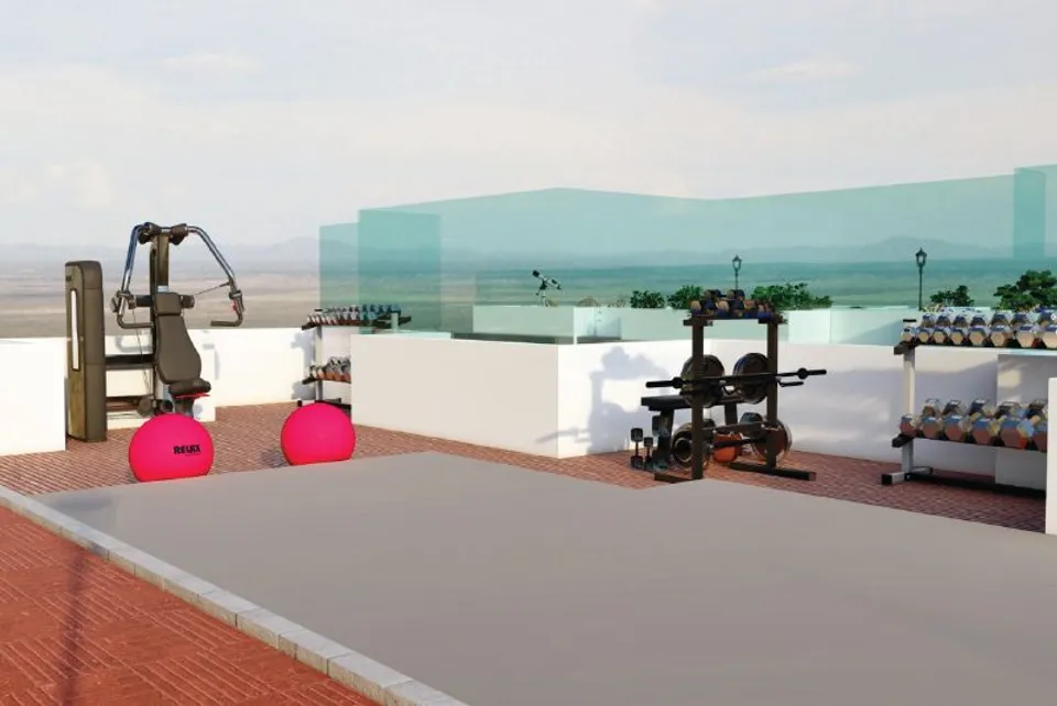 Super Homez Gulmohar