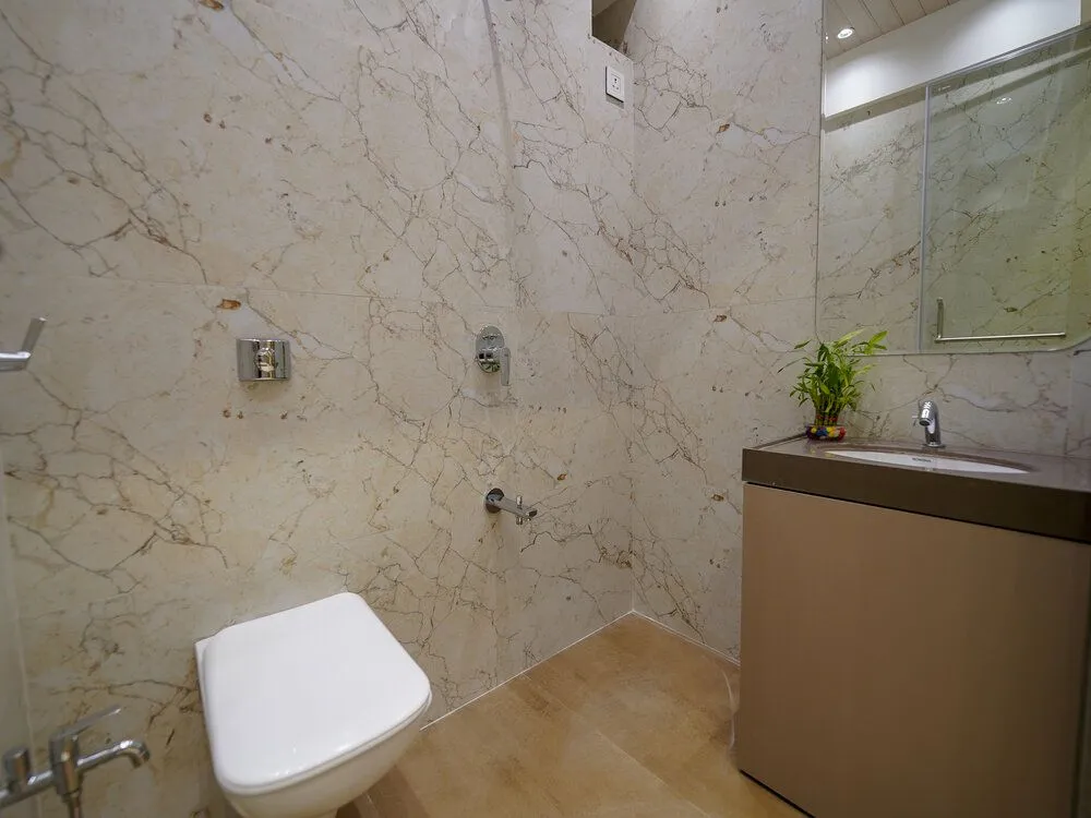 Nicon Vista Nicon Vista